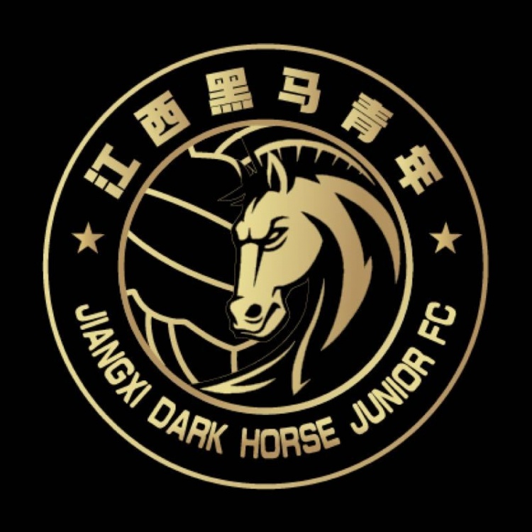  官方：江西黑馬青年完成異地遷移程序，更名為溫州職業(yè)足球俱樂部